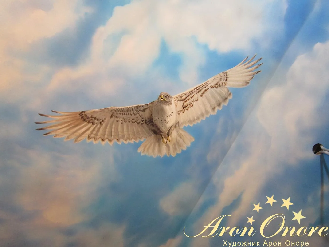 Роспись потолка – птица орел в полете